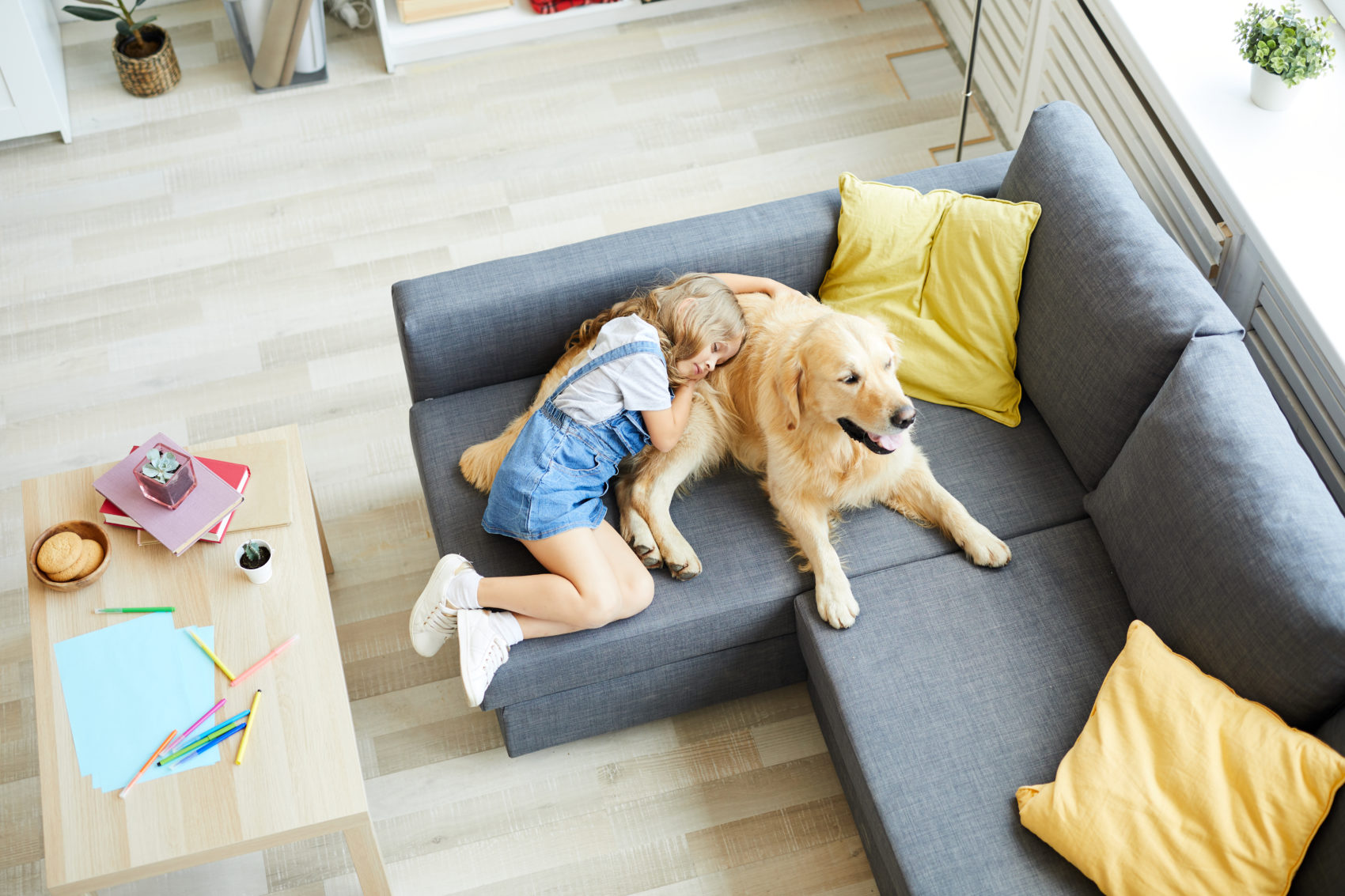 Ban on Landlords Charging Extra Pet Rent? Property Management Will